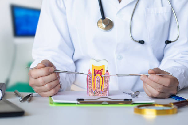 Best Broken Tooth Emergency  in Galveston, IN